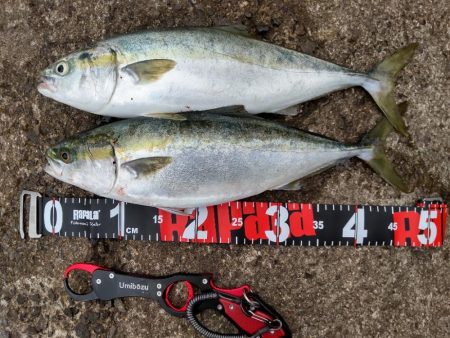 ショアプラッキング