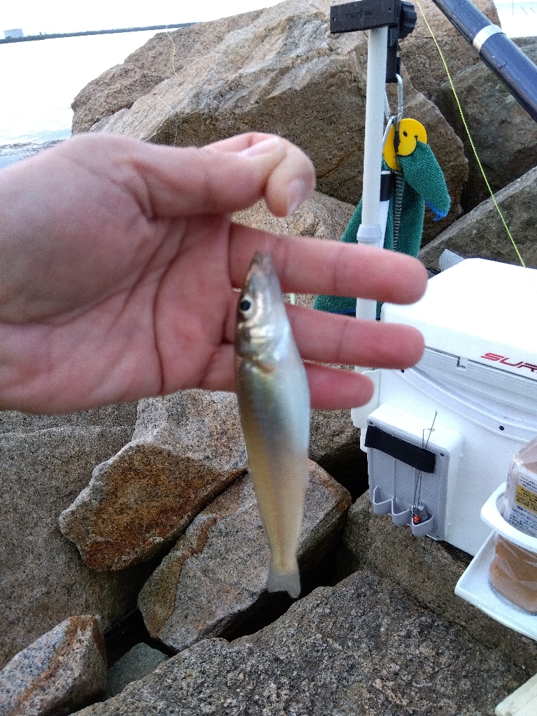 大塩海岸の投げ釣り