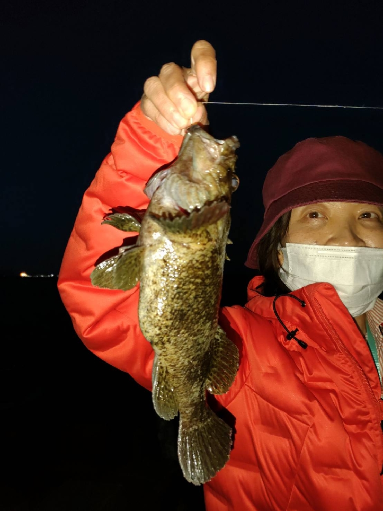 チョット竿で２８cmのムラソイ、クロソイ