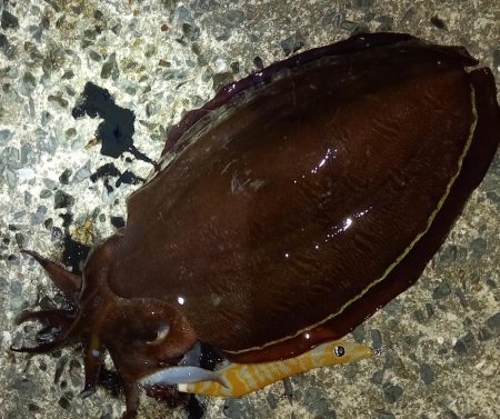 まあまあかな！