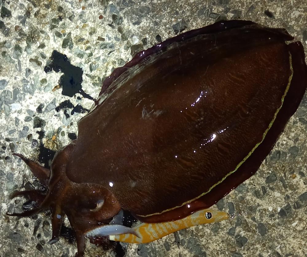 まあまあかな！