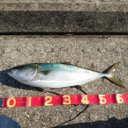 ショアジギング