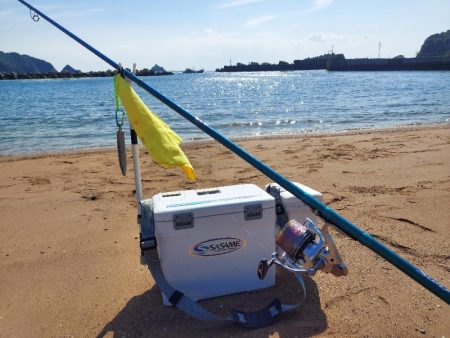 キス釣り　遠投