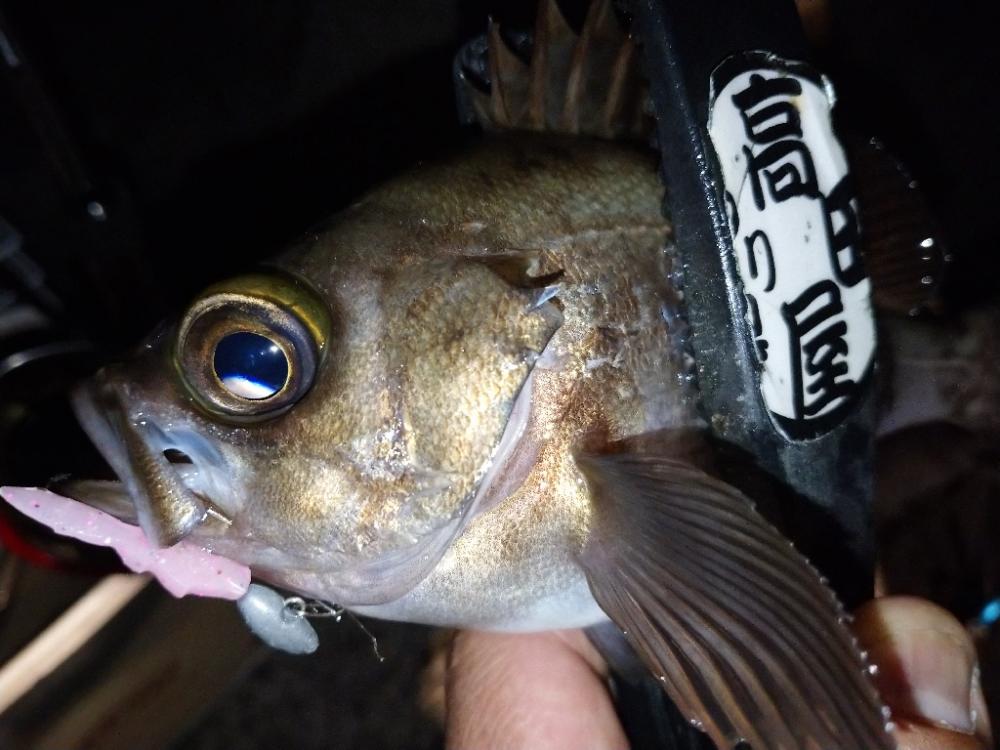 フロートメバリング