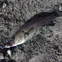 しびれることはなかった