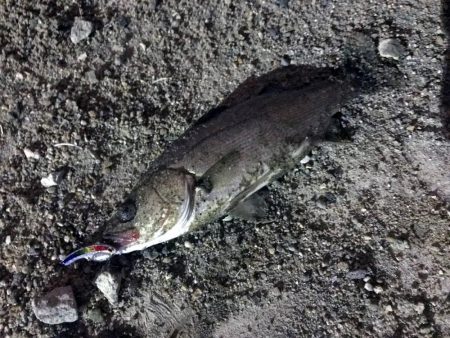 しびれることはなかった