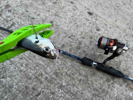 強風激寒激渋アジング