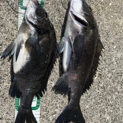 ヨットハーバー冲