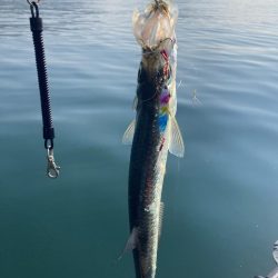 カヤックフィッシング