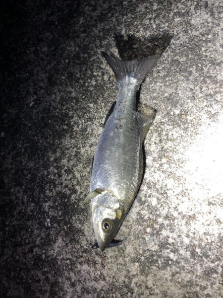 1時間の時間で！