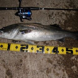 時合いは長くなっているが…