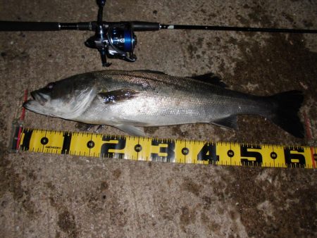 時合いは長くなっているが…