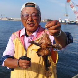 播磨新島のキス釣査