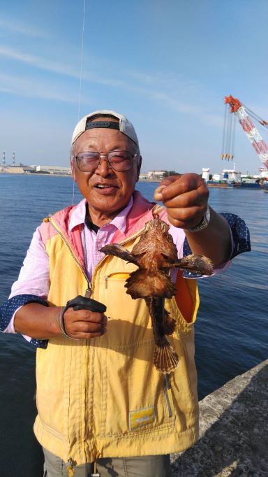 播磨新島のキス釣査