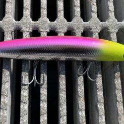 青物おらず。ただシーバスのみ