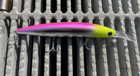 青物おらず。ただシーバスのみ