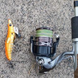 爆風だったので湾奥でコウイカ狙い