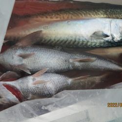 黒ムツ、スルメイカ、ヤリイカ　釣れたよ(^^♪