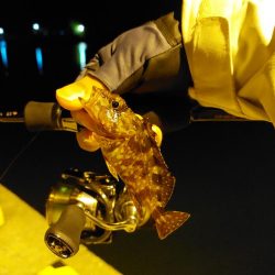 アジを探しに日本海へ