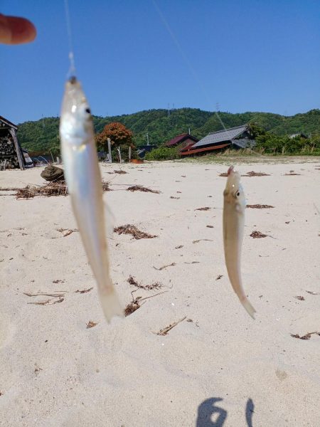 引き釣り初戦