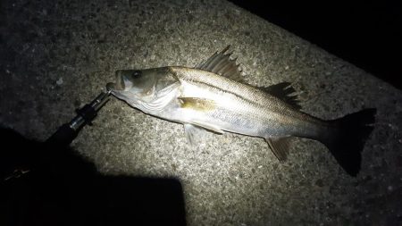 場所移動して。