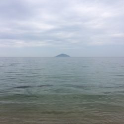 前日は釣果が良かったのですが、シブかったです