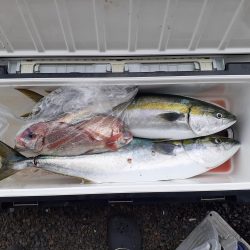 今年１発目のジギング