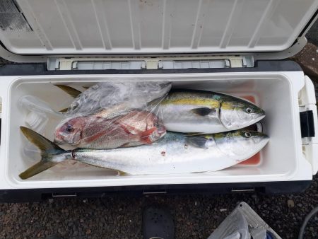 今年１発目のジギング