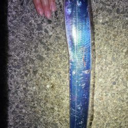 初めて釣ったタチウオ