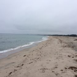 キス釣りの聖地、弓ヶ浜への釣行
