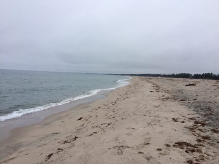 キス釣りの聖地、弓ヶ浜への釣行