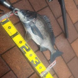 そろそろ　～辰巳運河～