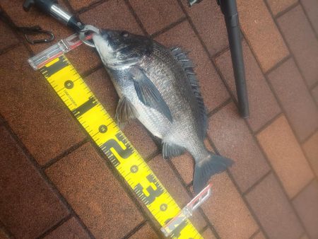 そろそろ　～辰巳運河～