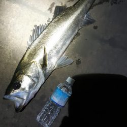 潮もよくなってきたので！