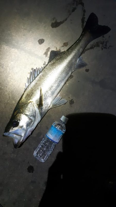 潮もよくなってきたので！