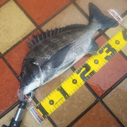 雨の力で、　～辰巳～