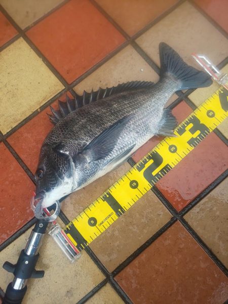 雨の力で、　～辰巳～