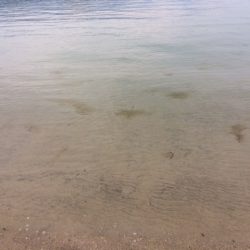 近場の浜に短時間の釣行をしてきました