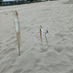 数は出ましたが型が