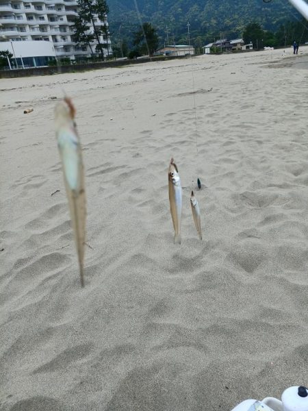 数は出ましたが型が