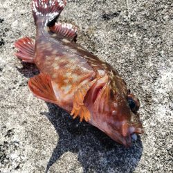 朝練からの穴練