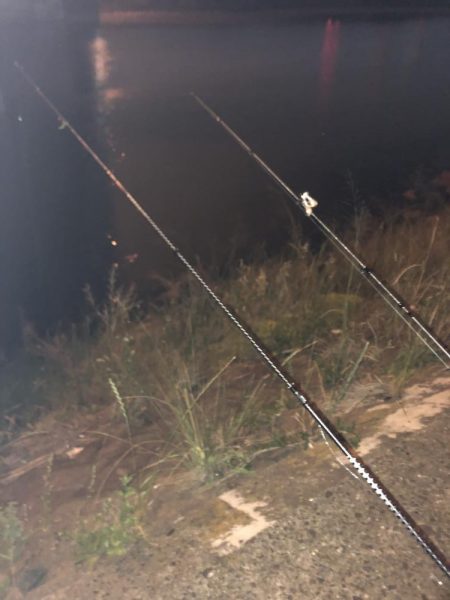 コウモリアタック