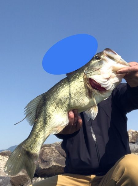 朝マズメだけで2本