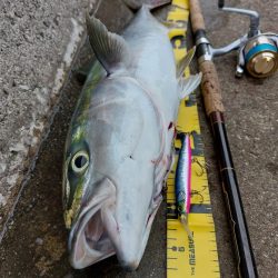 プチsalt water game