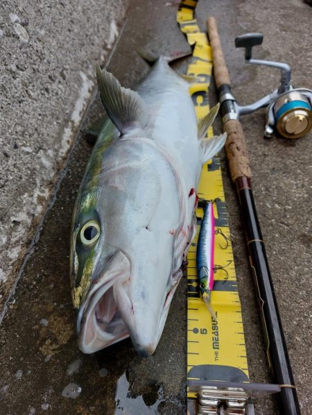 プチsalt water game