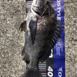 イチノ兄弟、釣果!