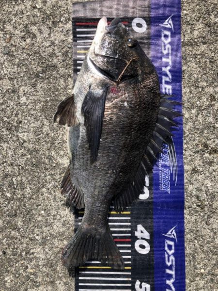 イチノ兄弟、釣果!