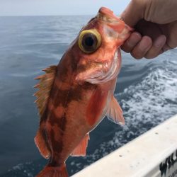 中深海ジギング