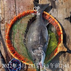 南港ヘチ釣り