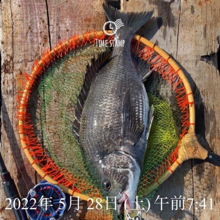 南港ヘチ釣り